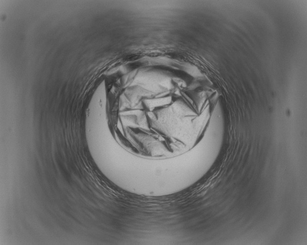 X0000067481300200605051702