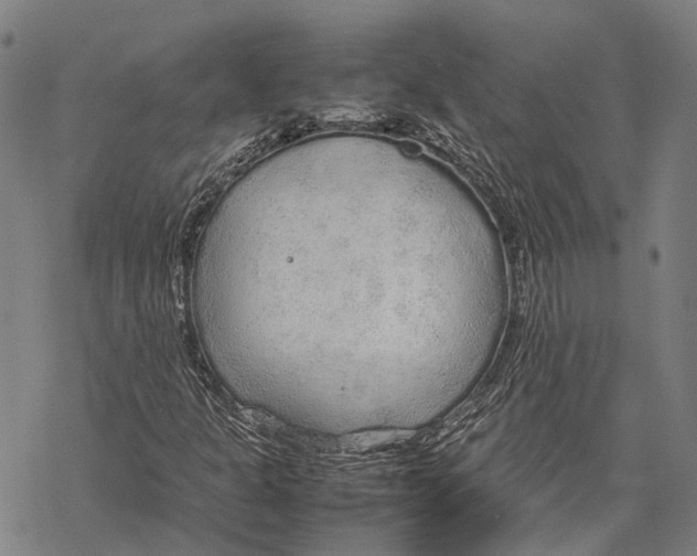 X0000067481301200605051702