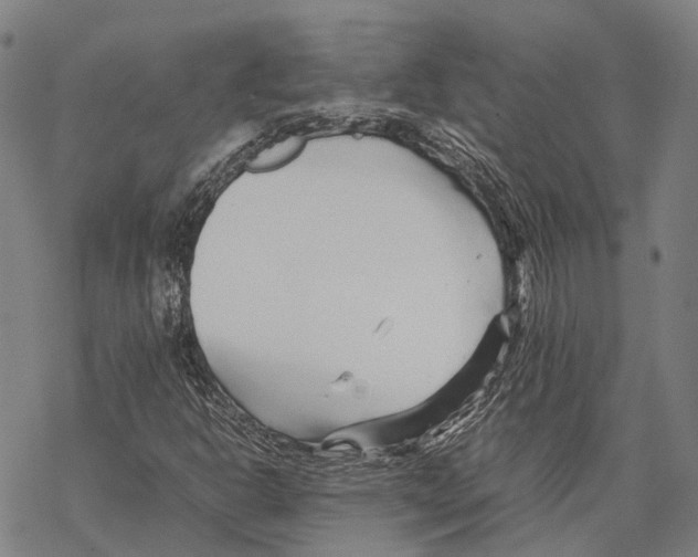 X0000067481302200605051702