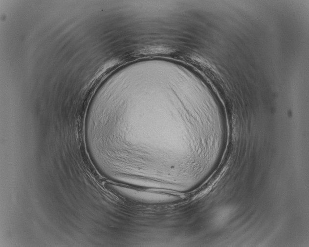 X0000067481305200605051702