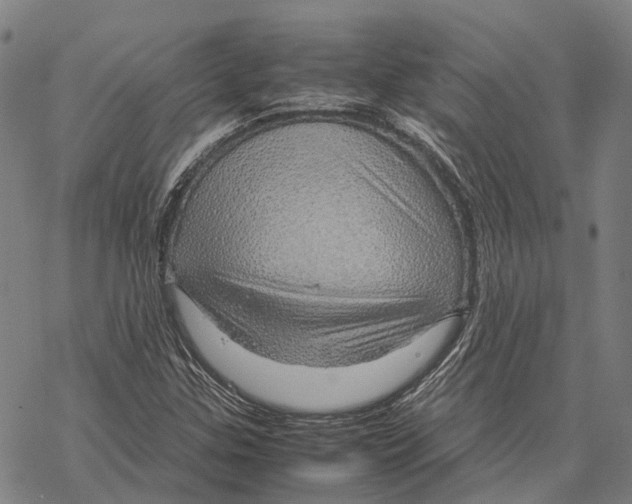 X0000067481307200605051702