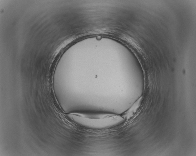 X0000067481308200605051702