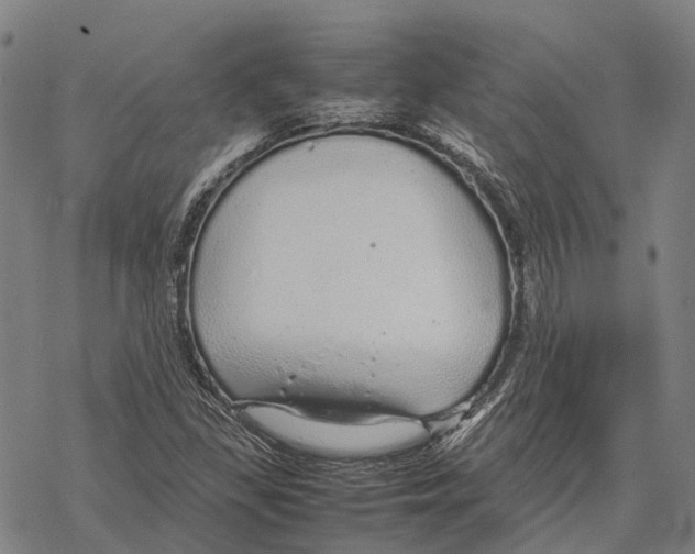 X0000067481309200605051702