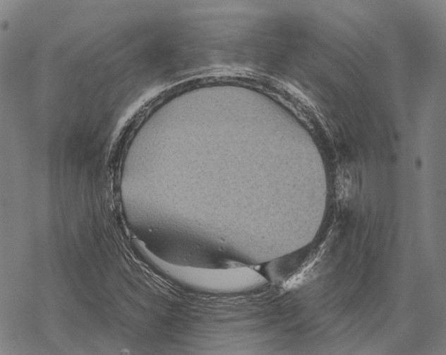 X0000067481310200605051702