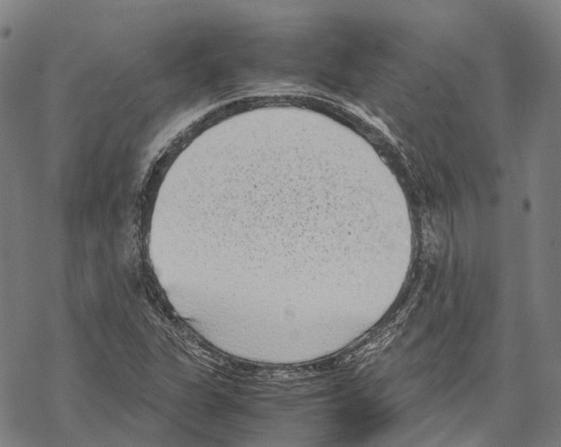 X0000067481311200605051702