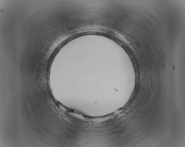 X0000067481312200605051702