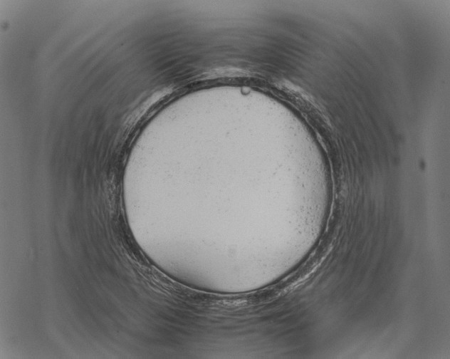 X0000067481313200605051702