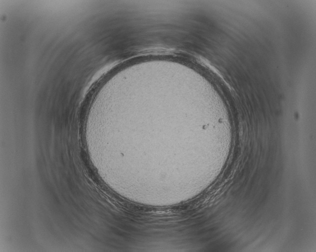 X0000067481315200605051702