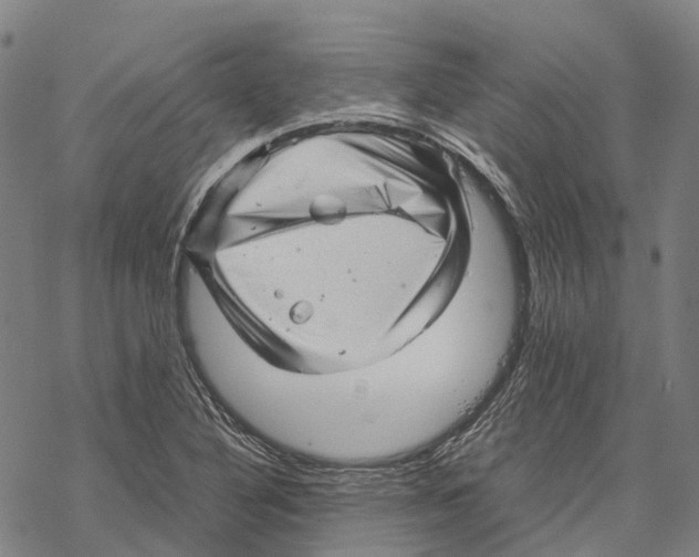 X0000067481316200605051702