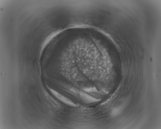 X0000067481319200605051702