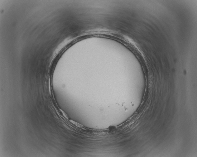 X0000067481320200605051702