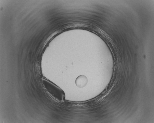 X0000067481321200605051702