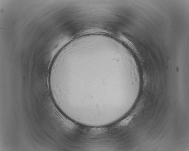 X0000067481322200605051702