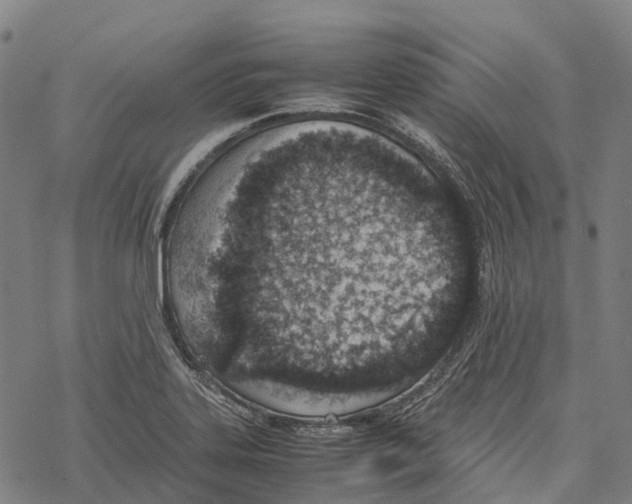 X0000067481323200605051702