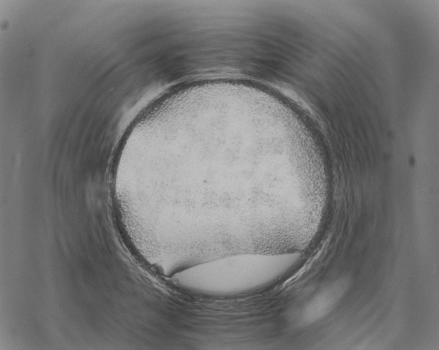 X0000067481325200605051702