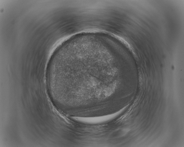 X0000067481327200605051702