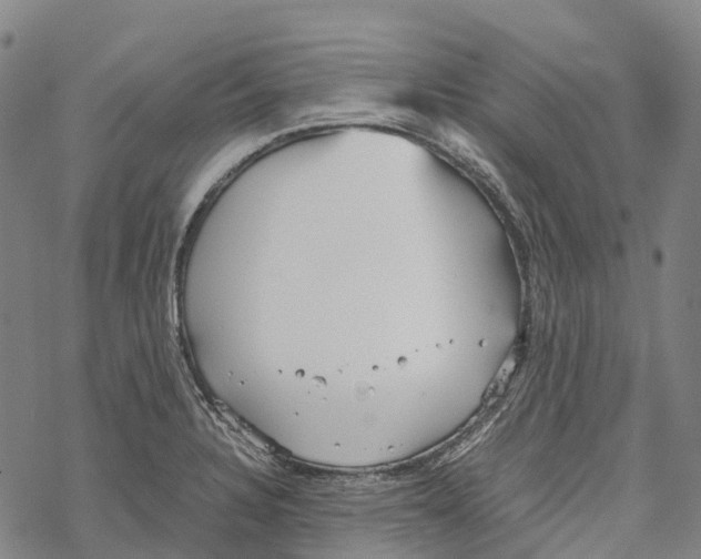 X0000067481328200605051702