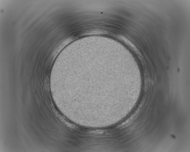 X0000067481329200605051702