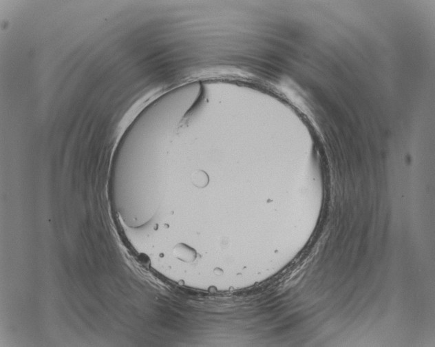 X0000067481330200605051702