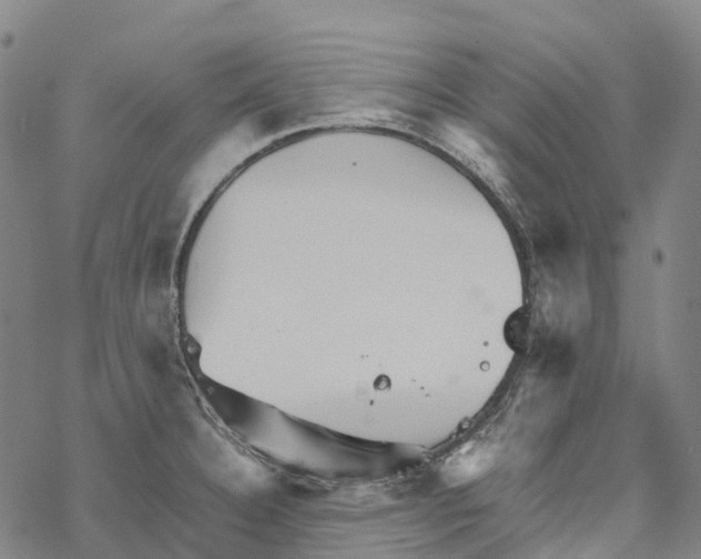 X0000067481332200605051702