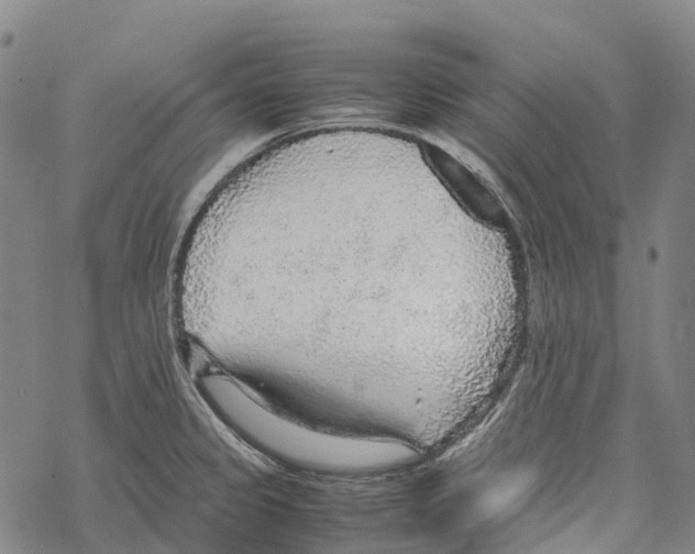 X0000067481333200605051702