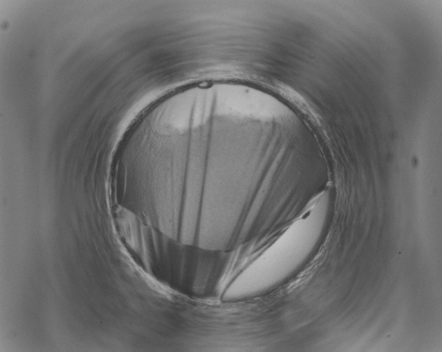 X0000067481334200605051703