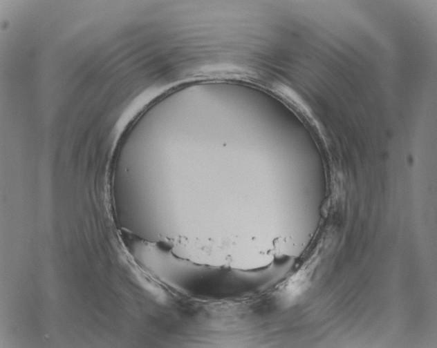 X0000067481336200605051703