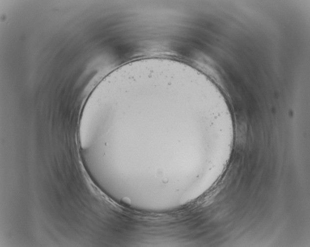 X0000067481338200605051703