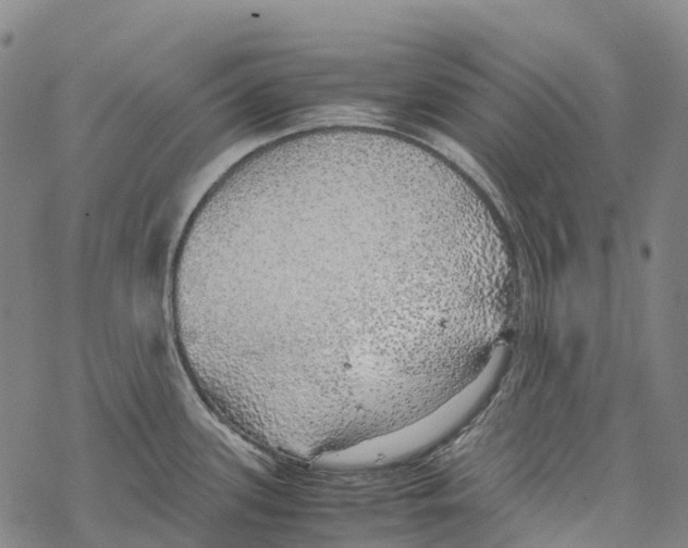 X0000067481339200605051703