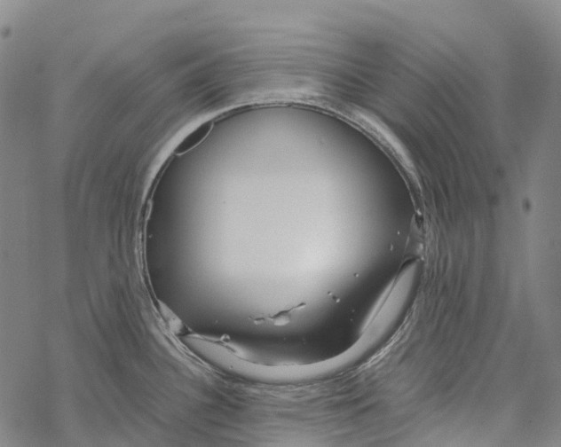 X0000067481340200605051703