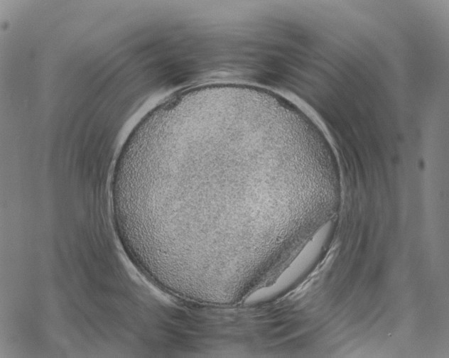 X0000067481341200605051703