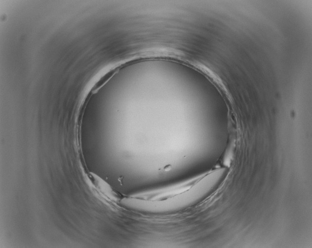 X0000067481342200605051703