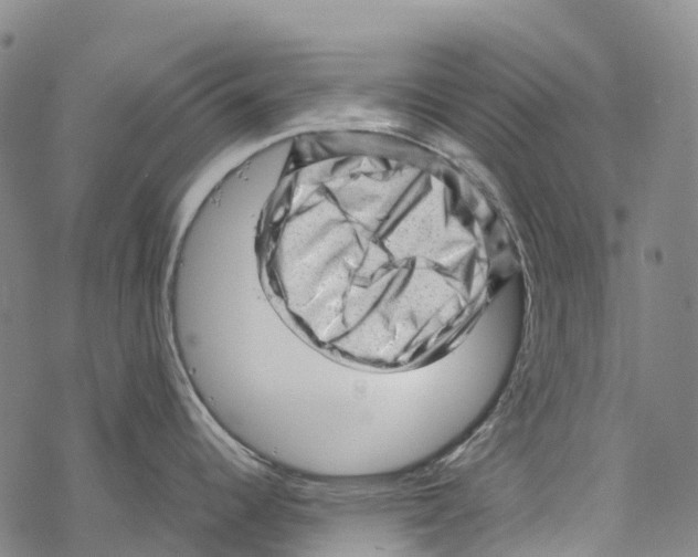 X0000067481344200605051703