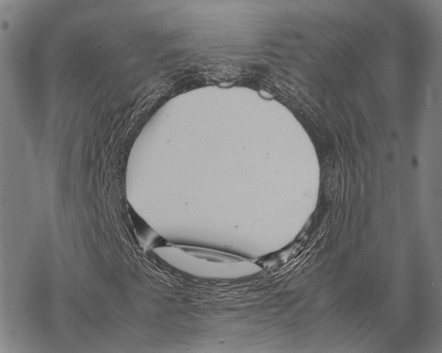 X0000067481345200605051702