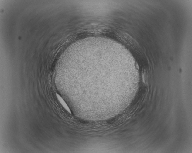 X0000067481347200605051702