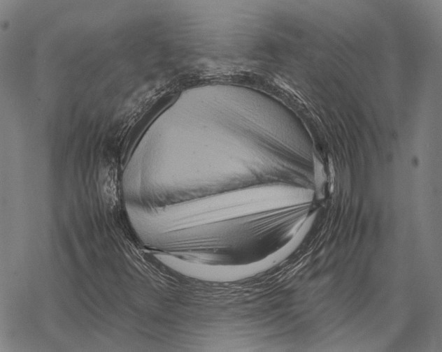 X0000067481348200605051702