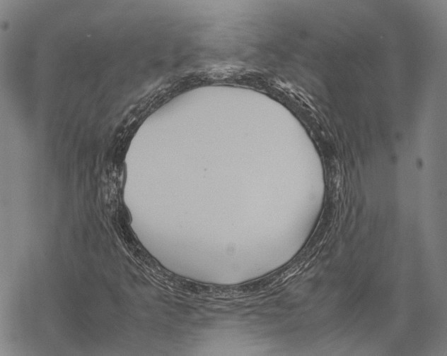 X0000067481349200605051702