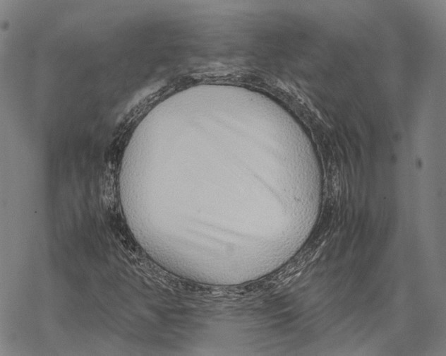 X0000067481350200605051702