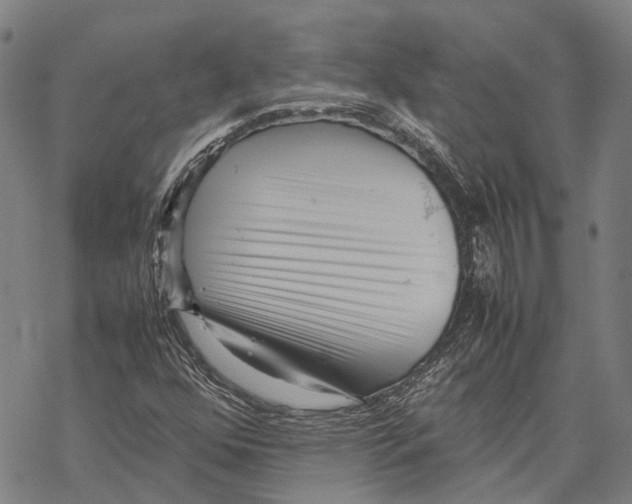 X0000067481352200605051702