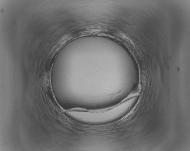 X0000067481353200605051702