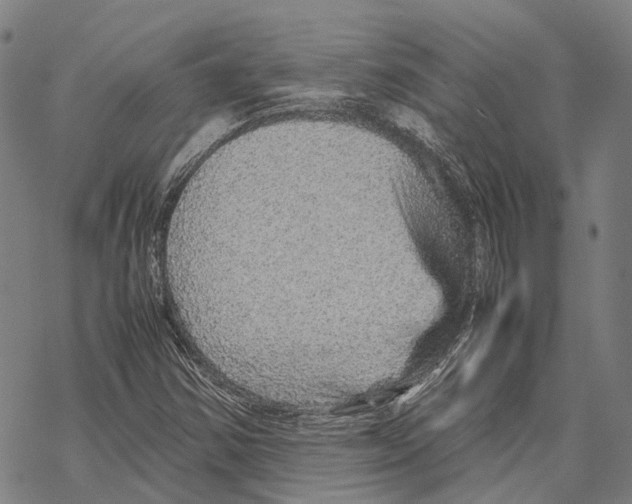 X0000067481354200605051702