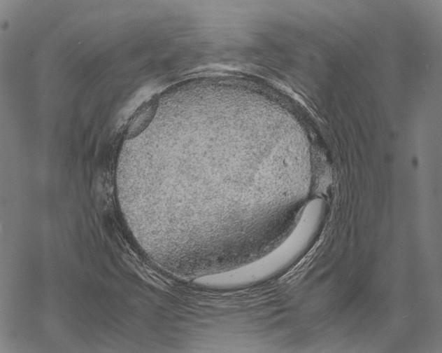 X0000067481355200605051702