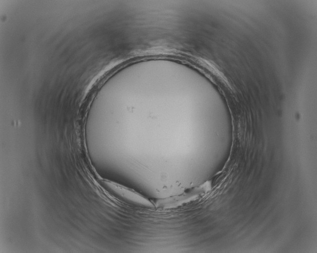 X0000067481356200605051702