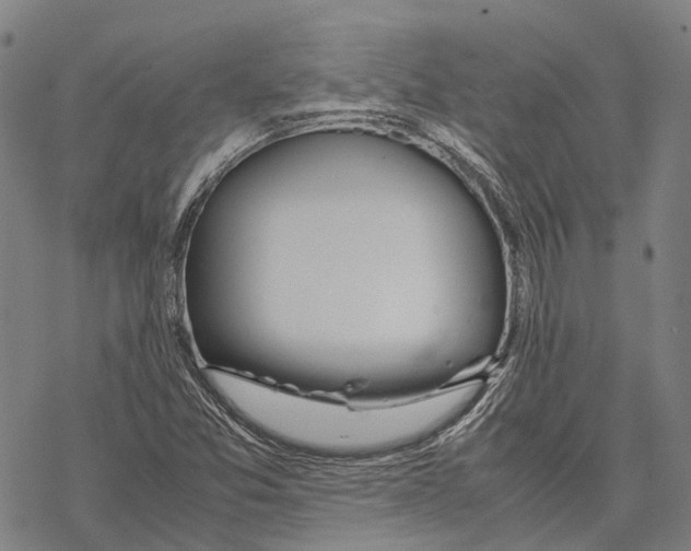 X0000067481357200605051702