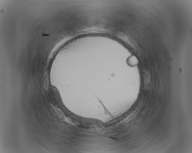 X0000067481358200605051702