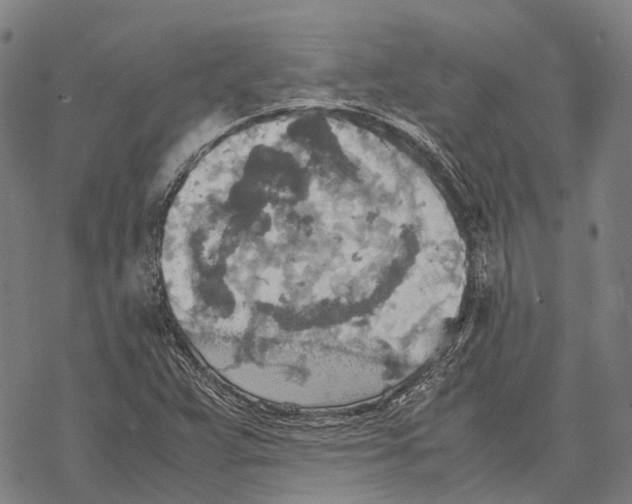 X0000067481359200605051702