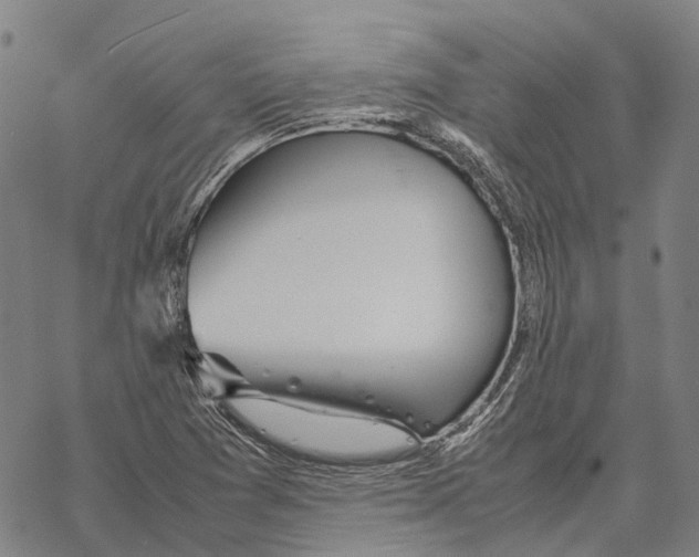 X0000067481361200605051702