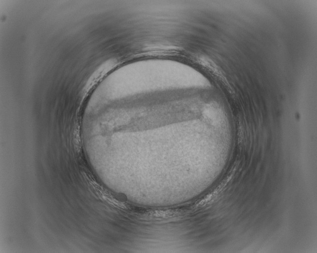 X0000067481362200605051702