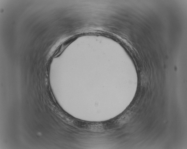 X0000067481363200605051702