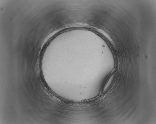 X0000067481364200605051702